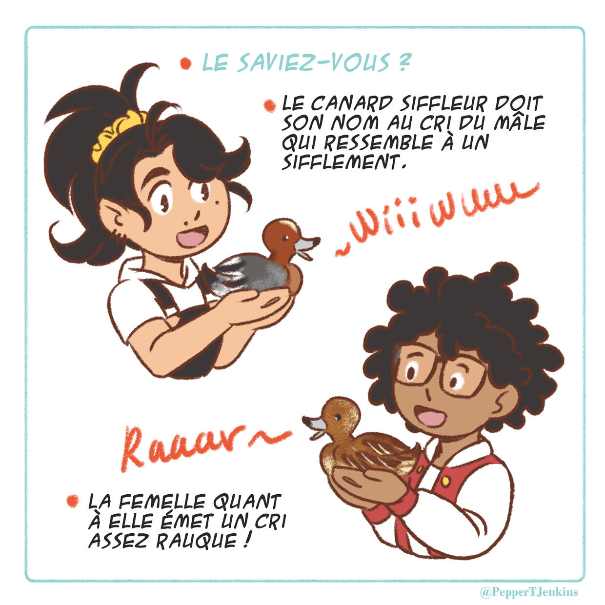 Les aventures Ordinaires de K & P - Canards